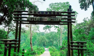 Mahananda Wildlife Sanctuary