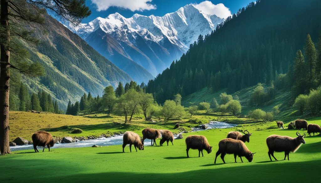 The Himalayan Nature Park