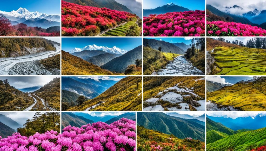 Experiencing Sikkim Seasons