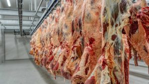 Why is Beef Production Significant in India